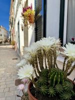 Es Migjorn Gran &ndash; &copy; Anne Schröder (Eberhardt TRAVEL)