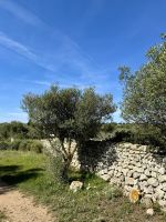 Prähistorische Siedlung Talayots von Binicodrell  &ndash; &copy; Anne Schröder (Eberhardt TRAVEL)