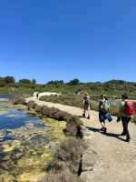Lagune von Es Grau &ndash; &copy; Anne Schröder (Eberhardt TRAVEL)