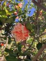 Spanien, Granada, Impressionen aus der Alhambra &ndash; &copy; Sabine C. Seifert (Eberhardt TRAVEL)