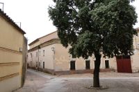 einsame Steineiche &ndash; &copy; Gina Egenolf (Eberhardt TRAVEL)