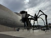 Bilbao (5).JPEG &ndash; &copy; Francisco Javier Burgos Gutierrez (Eberhardt TRAVEL)