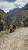 Cares  &ndash; &copy; Francisco Javier Burgos Gutierrez (Eberhardt TRAVEL)