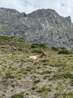 Cares  &ndash; &copy; Francisco Javier Burgos Gutierrez (Eberhardt TRAVEL)