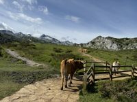 Covadonga  &ndash; &copy; Francisco Javier Burgos Gutierrez (Eberhardt TRAVEL)