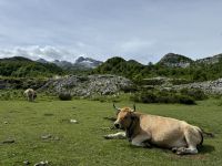 Covadonga &ndash; &copy; Francisco Javier Burgos Gutierrez (Eberhardt TRAVEL)