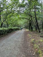 Jakobsweg  &ndash; &copy; Francisco Javier Burgos Gutierrez (Eberhardt TRAVEL)