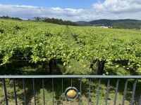 Weinkellerei  &ndash; &copy; Francisco Javier Burgos Gutierrez (Eberhardt TRAVEL)