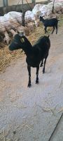 Queseria &ndash; &copy; Beate Klingebiel (Eberhardt TRAVEL)