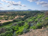 Cami de Cavalls Cala Tirant - Cala de Cavallería/Menorca/Balearen &ndash; &copy; Susanne Hofen (Eberhardt TRAVEL)