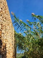 Camí de Cavalls Cala en Porter - Cala Llucalari/Menorca/Balearen &ndash; &copy; Susanne Hofen (Eberhardt TRAVEL)