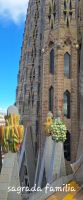 Sagrada familia  &ndash; &copy; Beate Klingebiel (Eberhardt TRAVEL)
