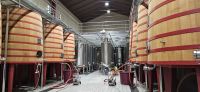 Bodega Marques de Riscal, Weinkeller &ndash; &copy; Ria Heilmann (Eberhardt TRAVEL)