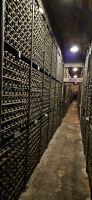 Bodega Marques de Riscal, historische Weinsammlung &ndash; &copy; Ria Heilmann (Eberhardt TRAVEL)