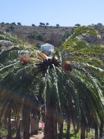  Las Hayas/La Gomera/Kanaren &ndash; &copy; Susanne Hofen (Eberhardt TRAVEL)