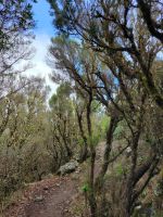 Reventón Oscuro/La Gomera/Kanaren &ndash; &copy; Susanne Hofen (Eberhardt TRAVEL)