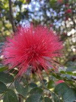 Botanischer Garten 