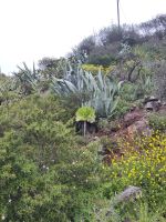 &copy; Andreas Böcker (Eberhardt TRAVEL)