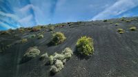 Vulkanseite  bewachsen &ndash; &copy; Petra Hady (Eberhardt TRAVEL)