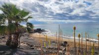 Puerto del Carmen &ndash; &copy; Petra Hady (Eberhardt TRAVEL)