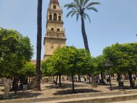 059-Codoba-Mezquita &ndash; &copy; Dirk Schlosser (Eberhardt TRAVEL)