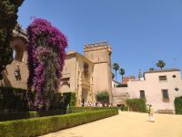 075-Real Alcázar de Sevilla &ndash; &copy; Dirk Schlosser (Eberhardt TRAVEL)