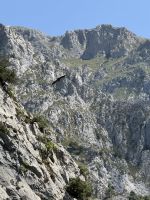 Picos de Europa.JPG &ndash; &copy; Francisco Javier Burgos Gutierrez (Eberhardt TRAVEL)
