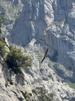 Picos de Europa .JPG &ndash; &copy; Francisco Javier Burgos Gutierrez (Eberhardt TRAVEL)