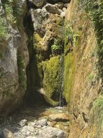 Picos de Europa.JPG &ndash; &copy; Francisco Javier Burgos Gutierrez (Eberhardt TRAVEL)