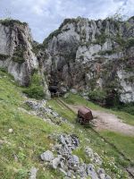 Covadonga .JPG &ndash; &copy; Francisco Javier Burgos Gutierrez (Eberhardt TRAVEL)