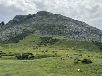 Covadonga.JPG &ndash; &copy; Francisco Javier Burgos Gutierrez (Eberhardt TRAVEL)