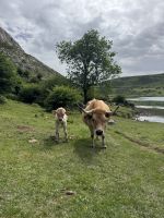 Covadonga .JPG &ndash; &copy; Francisco Javier Burgos Gutierrez (Eberhardt TRAVEL)