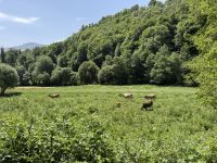 Jakobsweg.JPG &ndash; &copy; Francisco Javier Burgos Gutierrez (Eberhardt TRAVEL)