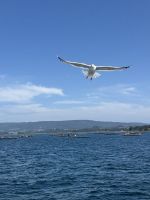 Bootsfahrt .JPG &ndash; &copy; Francisco Javier Burgos Gutierrez (Eberhardt TRAVEL)