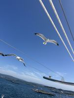 Bootsfahrt.JPG &ndash; &copy; Francisco Javier Burgos Gutierrez (Eberhardt TRAVEL)
