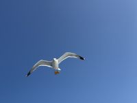Bootsfahrt.JPG &ndash; &copy; Francisco Javier Burgos Gutierrez (Eberhardt TRAVEL)