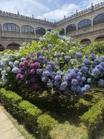 Santiago de Compostela.JPG &ndash; &copy; Francisco Javier Burgos Gutierrez (Eberhardt TRAVEL)