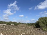 Landschaft, Es Migjorn Gran, Menorca, Spanien &ndash; &copy; Maria Feibig (Eberhardt TRAVEL)