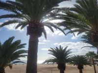 Puerto del Carmen/Lanzarote/Kanaren &ndash; &copy; Susanne Hofen (Eberhardt TRAVEL)