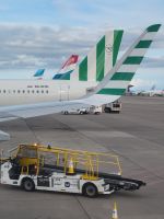 Rückflug ab Teneriffa/Kanaren &ndash; &copy; Susanne Hofen (Eberhardt TRAVEL)