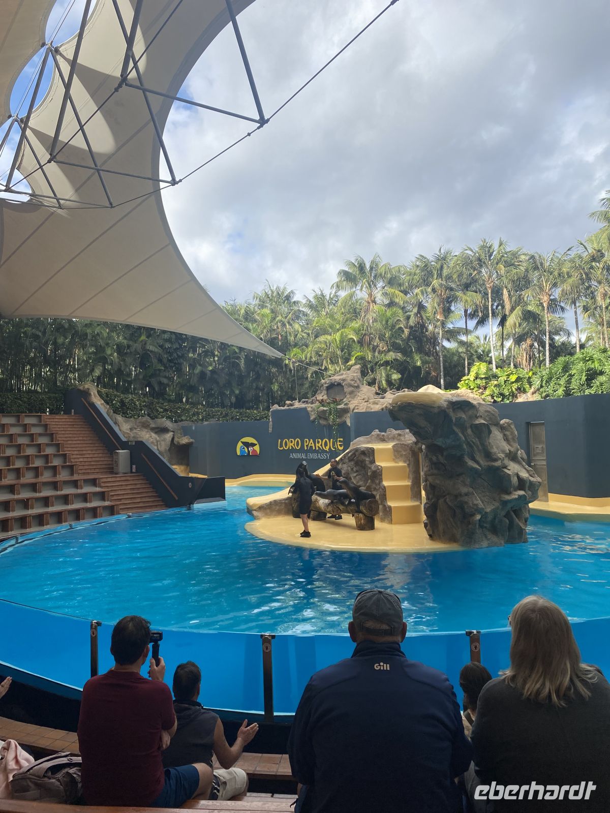 Loro Park &ndash; &copy; Bettina Langendörfer (Eberhardt TRAVEL)