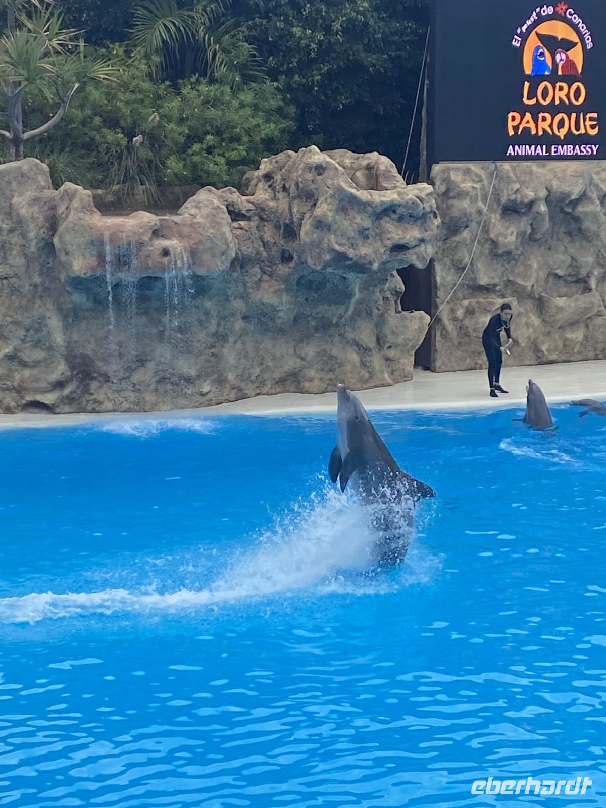 Loro Park &ndash; &copy; Bettina Langendörfer (Eberhardt TRAVEL)