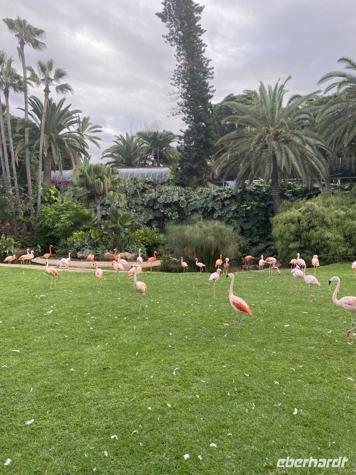 Loro Park &ndash; &copy; Bettina Langendörfer (Eberhardt TRAVEL)