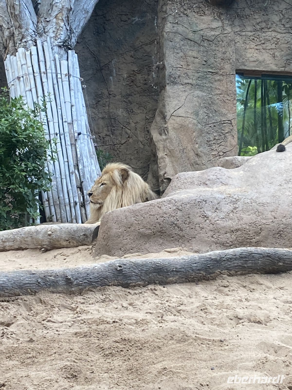 Loro Park &ndash; &copy; Bettina Langendörfer (Eberhardt TRAVEL)