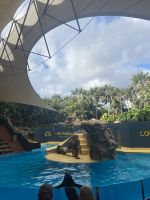 Loro Park &ndash; &copy; Bettina Langendörfer (Eberhardt TRAVEL)