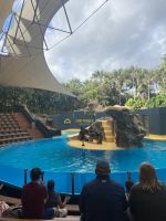 Loro Park &ndash; &copy; Bettina Langendörfer (Eberhardt TRAVEL)