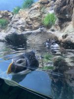 Loro Park &ndash; &copy; Bettina Langendörfer (Eberhardt TRAVEL)
