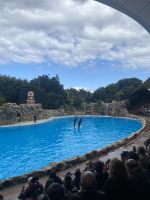 Loro Park &ndash; &copy; Bettina Langendörfer (Eberhardt TRAVEL)