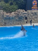 Loro Park &ndash; &copy; Bettina Langendörfer (Eberhardt TRAVEL)