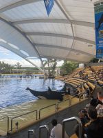Loro Park &ndash; &copy; Bettina Langendörfer (Eberhardt TRAVEL)